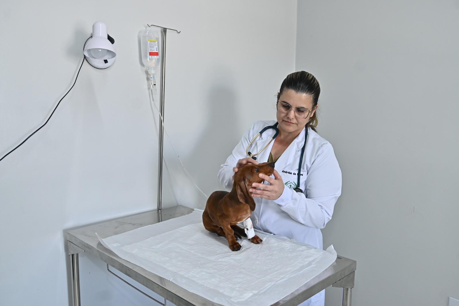 Médica veterinária Andréia Silva