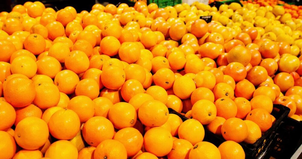 Paranavaí é destaque na exportação. Suco de laranja é um dos itens