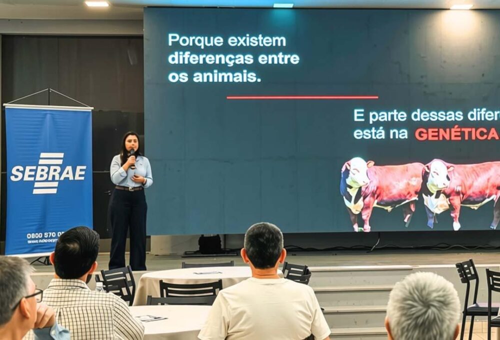 a-carne Evento realizado em Paranavaí
Foto: Agência Crear/Divulgação