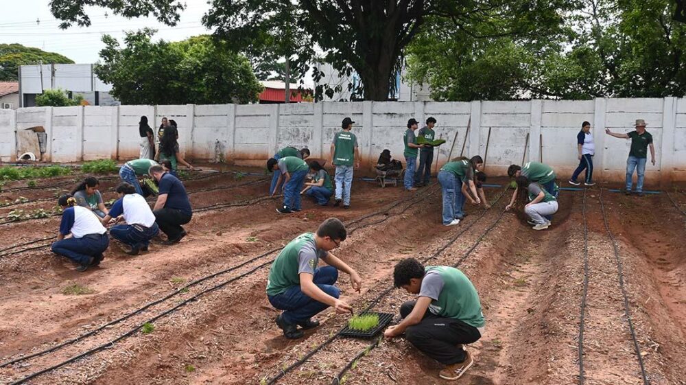 Estudantes aprendem técnicas de manejo de solo e produção vegetal, além de trato com animais
Foto: Rafael Travain