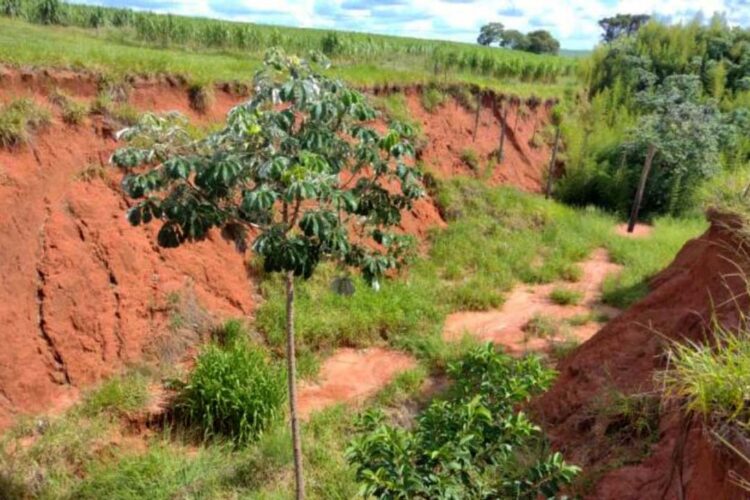 Rodovia de Tapejara vai receber melhorias  na drenagem e contenção de erosão