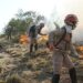 Bombeiros prestaram mais de 63 mil atendimentos no 1º semestre; incêndios cresceram